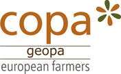 copa geopa-small